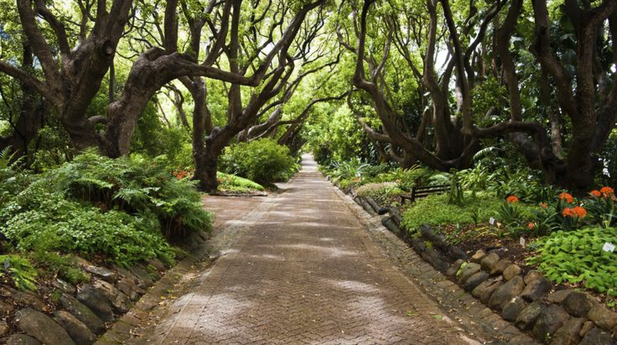 1cb785c4a327bd4c169f8784ef3800a6-national-botanical-gardens-africa-travel