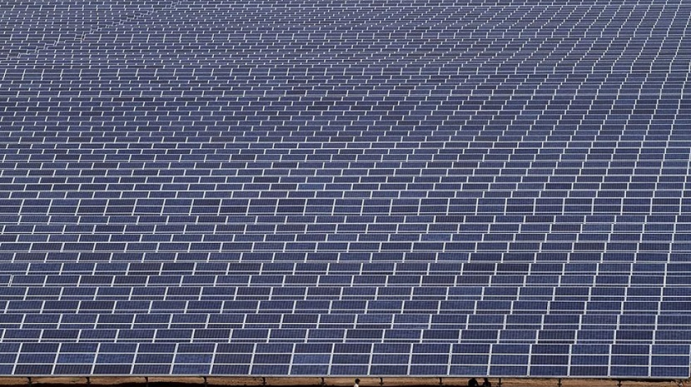 Die gebied gevul met sonpanele verdwerg die werkers.