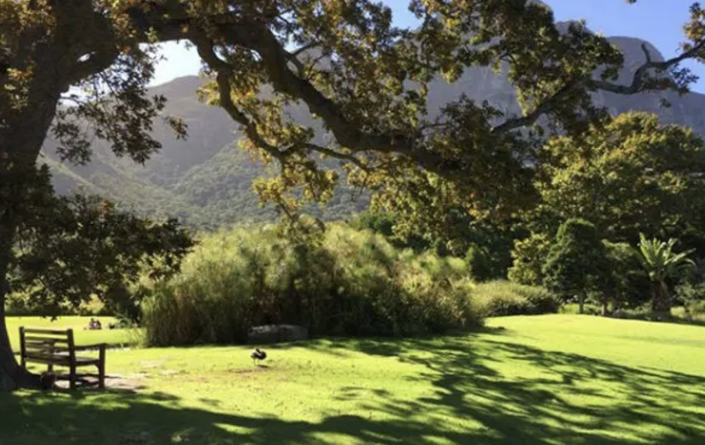 Kirstenbosch